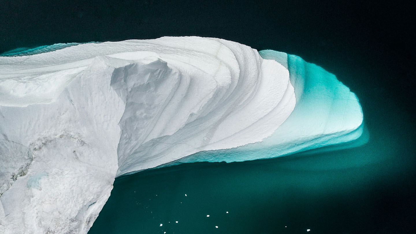 Expedition to Artic