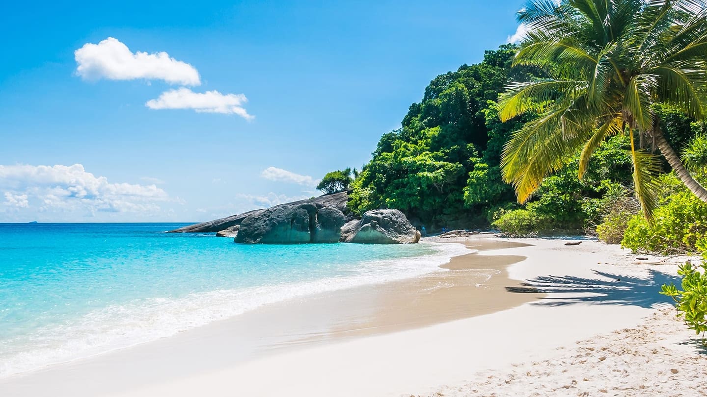 Luxury Cruise landscape